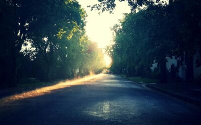 Hic error occaecati et omnis esse